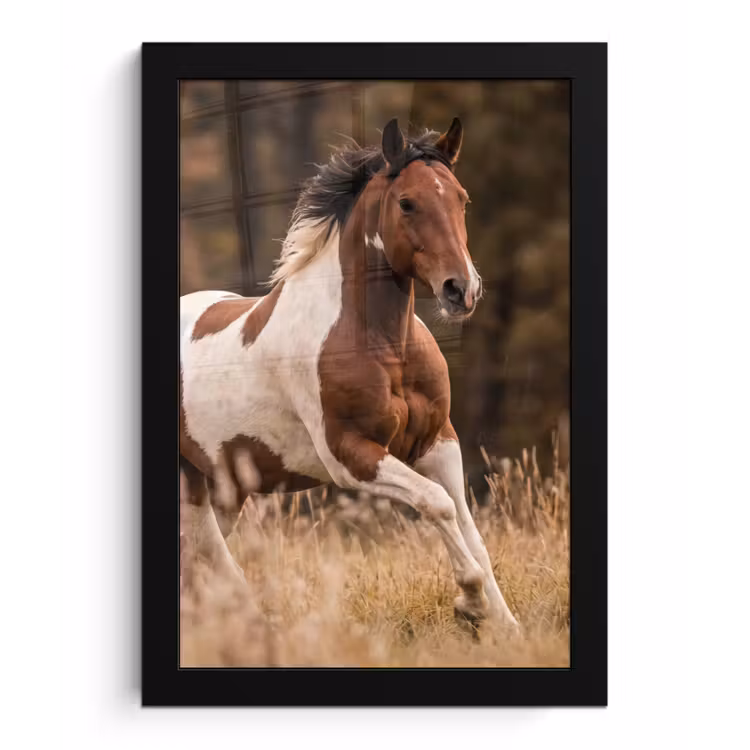 Paard - Bruin - Gras fotolijst zwart zonder passe partout klein -3d