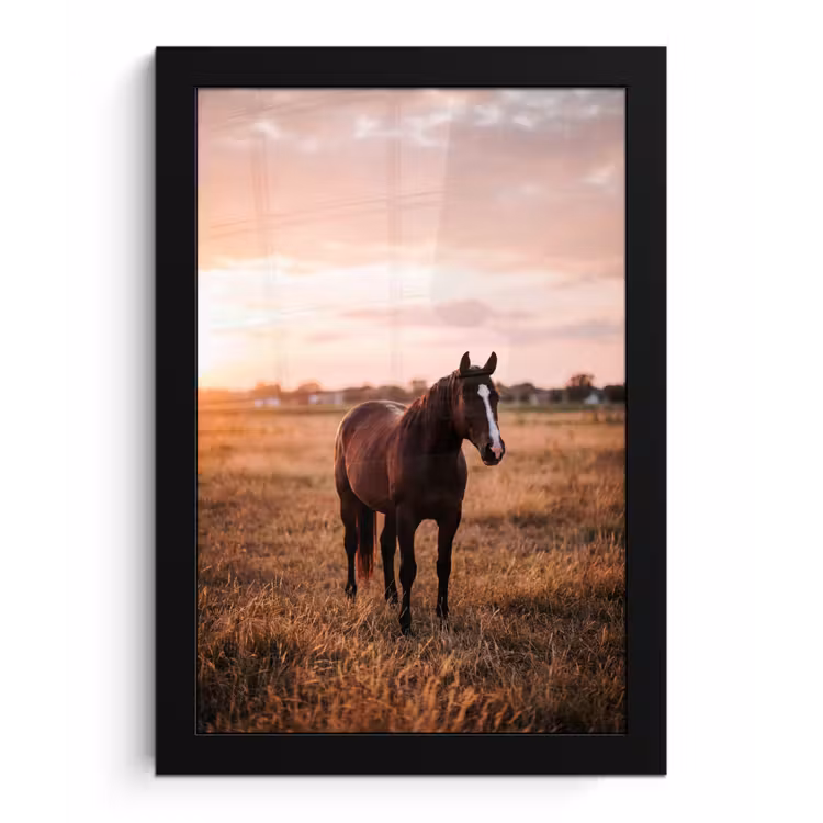 Paard - Zonsondergang - Bruin fotolijst zwart zonder passe partout klein -3d