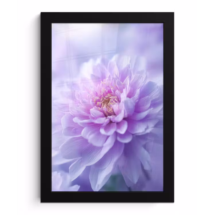 Paars - Dahlia - Dromerig fotolijst zwart zonder passe partout klein -3d