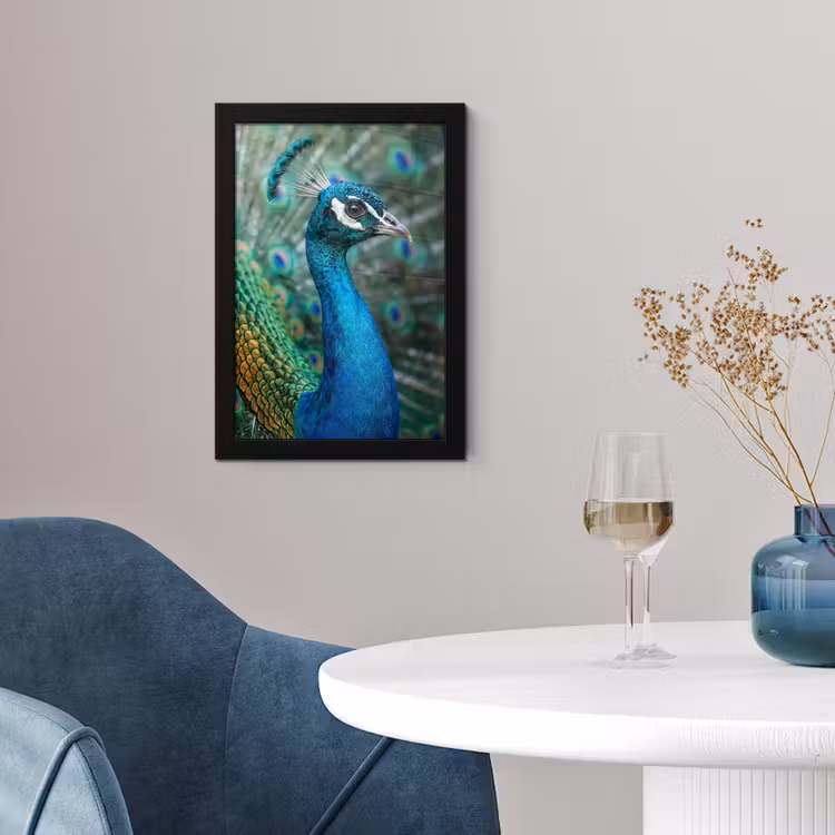 Pauw - Veren - Blauw fotolijst zwart zonder passe partout klein -sfeer4