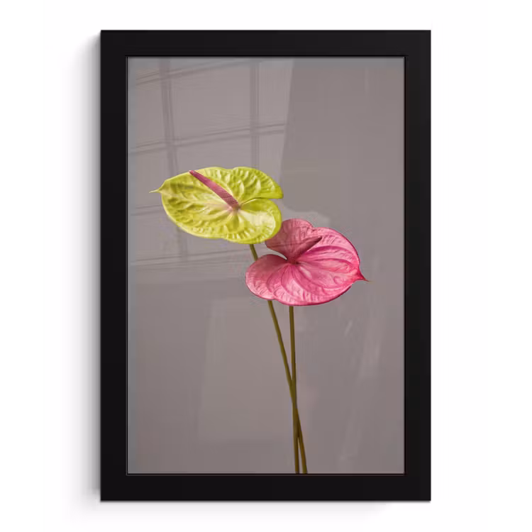 Planten - Anthurium - Groen - Roze fotolijst zwart zonder passe partout klein -3d