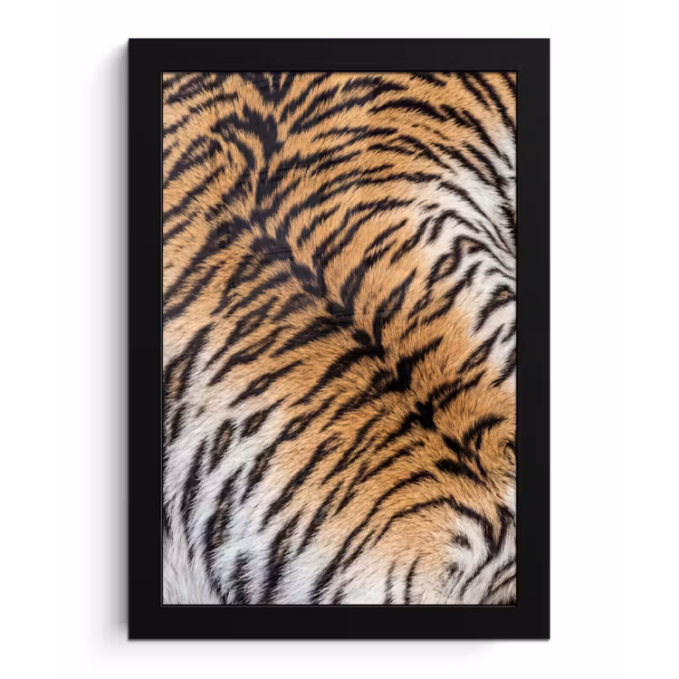 Realistisch - Tijgervacht - Zwart fotolijst zwart zonder passe partout klein -3d