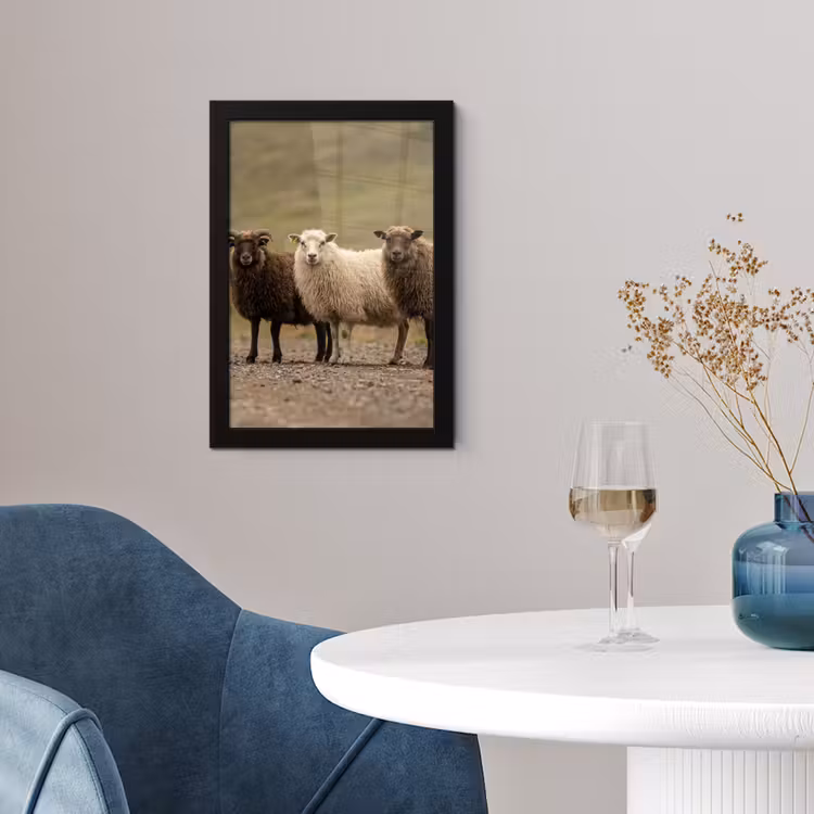 Schapen - Bruin - Wit - Grindpad fotolijst zwart zonder passe partout klein -sfeer4