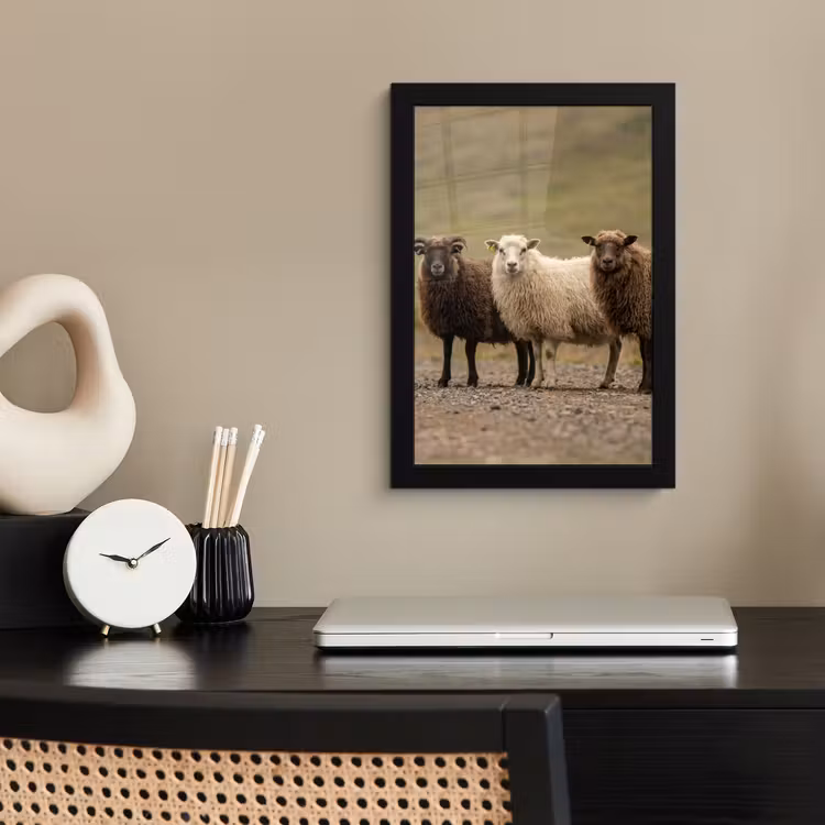 Schapen - Bruin - Wit - Grindpad fotolijst zwart zonder passe partout klein -sfeer1