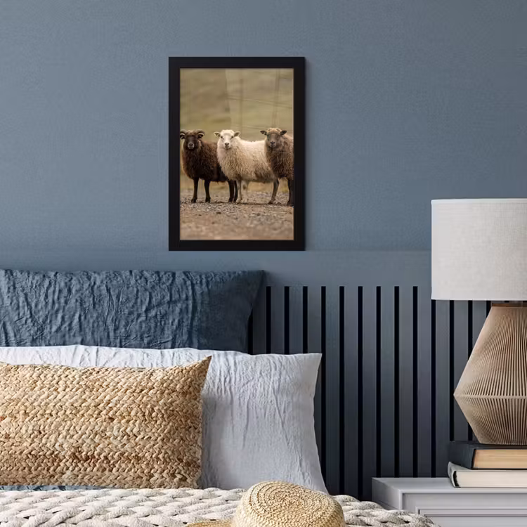 Schapen - Bruin - Wit - Grindpad fotolijst zwart zonder passe partout klein -sfeer3