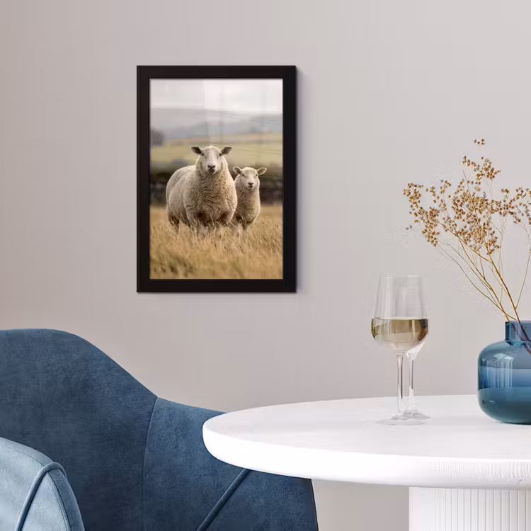 Schapen - Weidenlandschap - Heuvels fotolijst zwart zonder passe partout klein -sfeer4