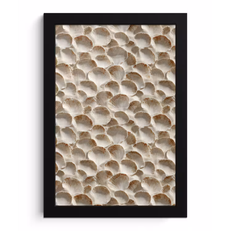 Schelpen - Waaiervorm - Wit fotolijst zwart zonder passe partout klein 224 -3d