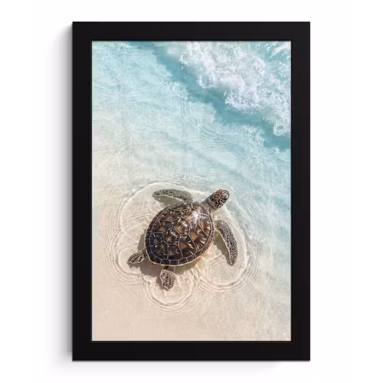 Schildpad - Helder water - Strand - Dieren - Natuur fotolijst zwart zonder passe partout klein -3d