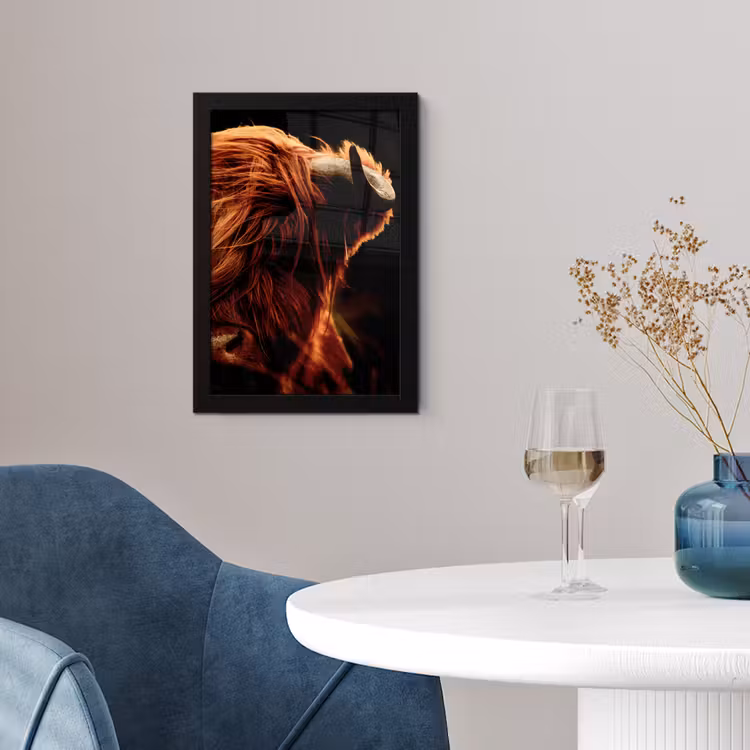 Schotse hooglander - Koe - Hoorns - Portret - Dieren fotolijst zwart zonder passe partout klein -sfeer4