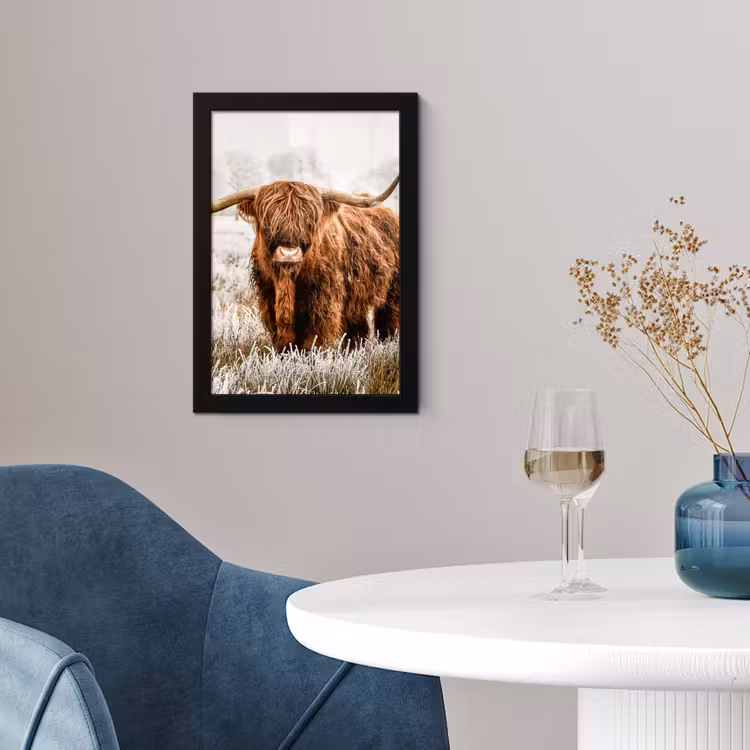 Schotse hooglander - Koe - Natuur - Winter fotolijst zwart zonder passe partout klein -sfeer4