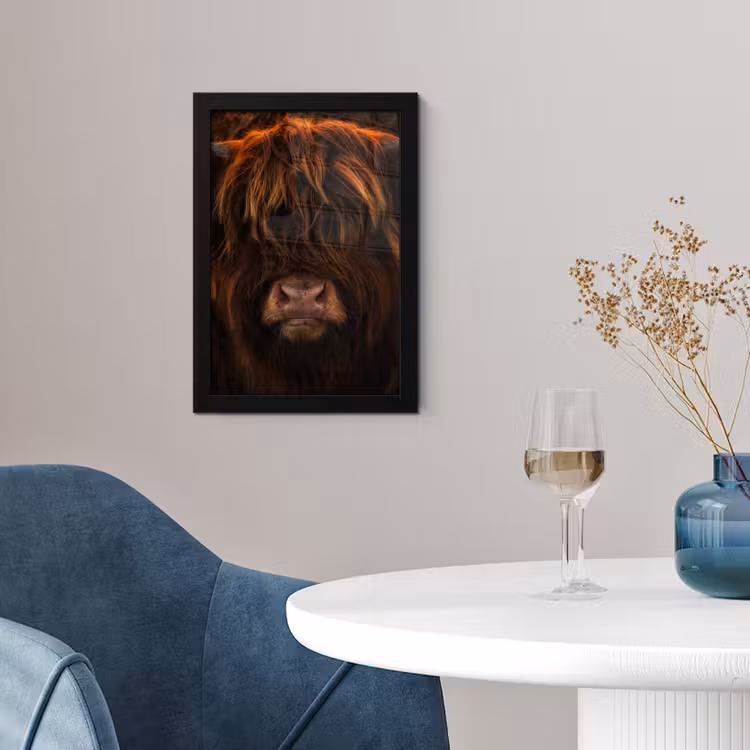 Schotse Hooglander - Koe - Portret - Dieren fotolijst zwart zonder passe partout klein -sfeer4