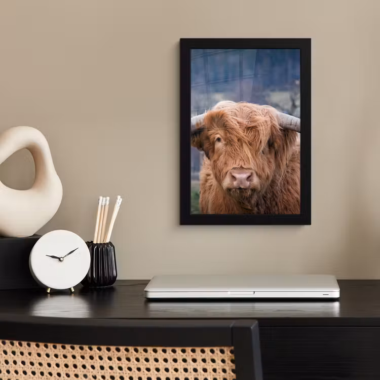 Schotse Hooglander - Koeienkop - Landschap - Natuur - Koe fotolijst zwart zonder passe partout klein -sfeer1