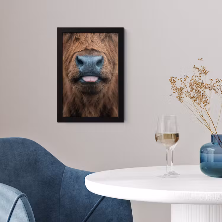 Schotse hooglander - Neus - Bruin fotolijst zwart zonder passe partout klein -sfeer4