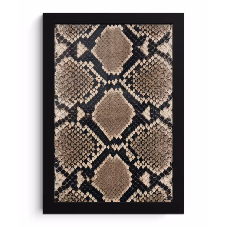 Slangenprint - Python - Bruin fotolijst zwart zonder passe partout klein -3d
