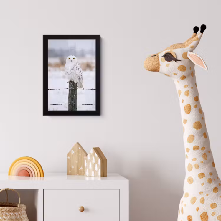 Sneeuwuil - Hek - Sneeuw - Wit fotolijst zwart zonder passe partout klein -usfeer4_kinderkamer