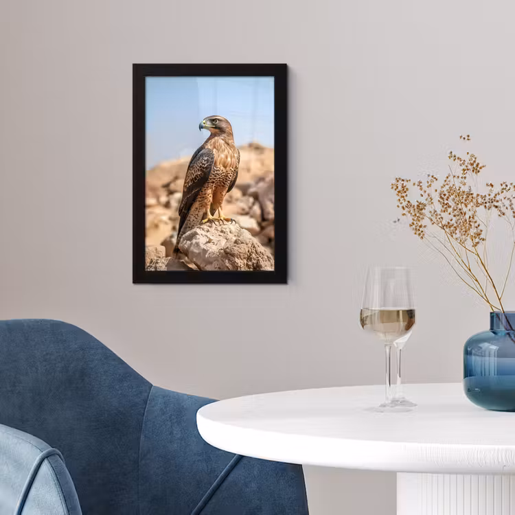 Valk - Vogel - Rots - Macht fotolijst zwart zonder passe partout klein -sfeer4