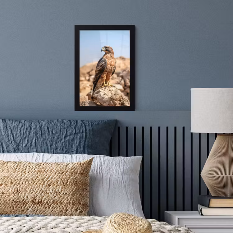 Valk - Vogel - Rots - Macht fotolijst zwart zonder passe partout klein -sfeer3