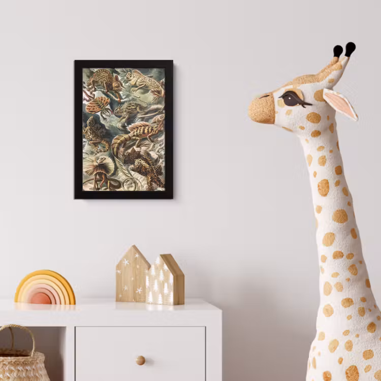 Vintage - Kunst - Ernst Haeckel - Salamanders - Dieren fotolijst zwart zonder passe partout klein -usfeer4_kinderkamer