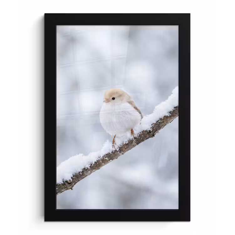 Vogeltje - Sneeuw - Tak - Winter - Zacht fotolijst zwart zonder passe partout klein -3d