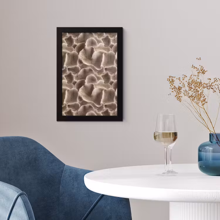 Waaiervorm - Beige - Vezel textuur fotolijst zwart zonder passe partout klein 224 -sfeer4