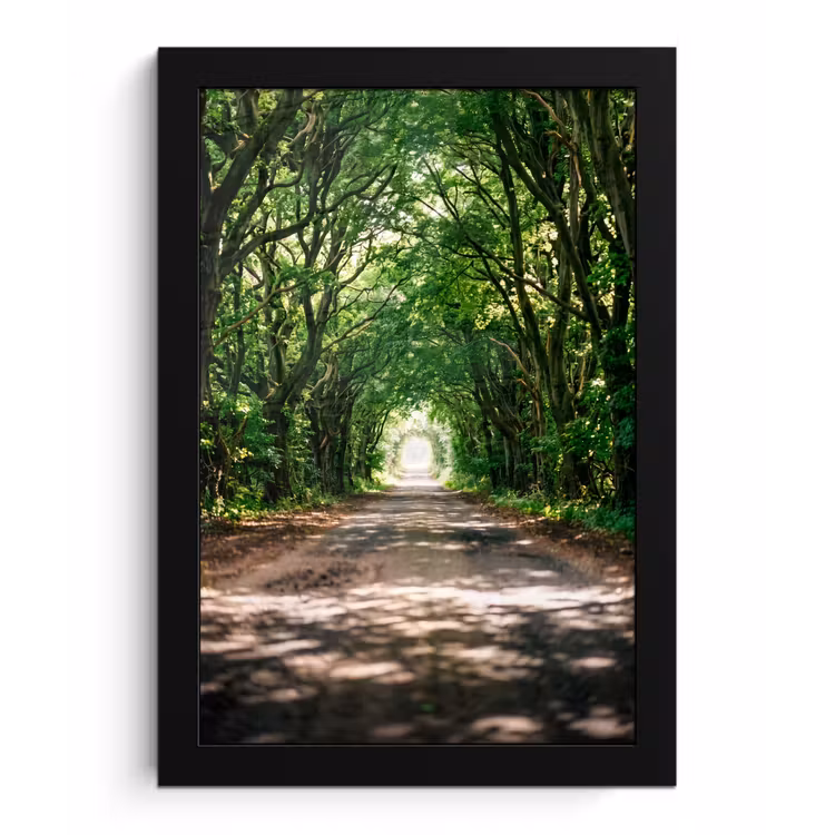 Weg - Bomen - Natuur - Groen fotolijst zwart zonder passe partout klein -3d
