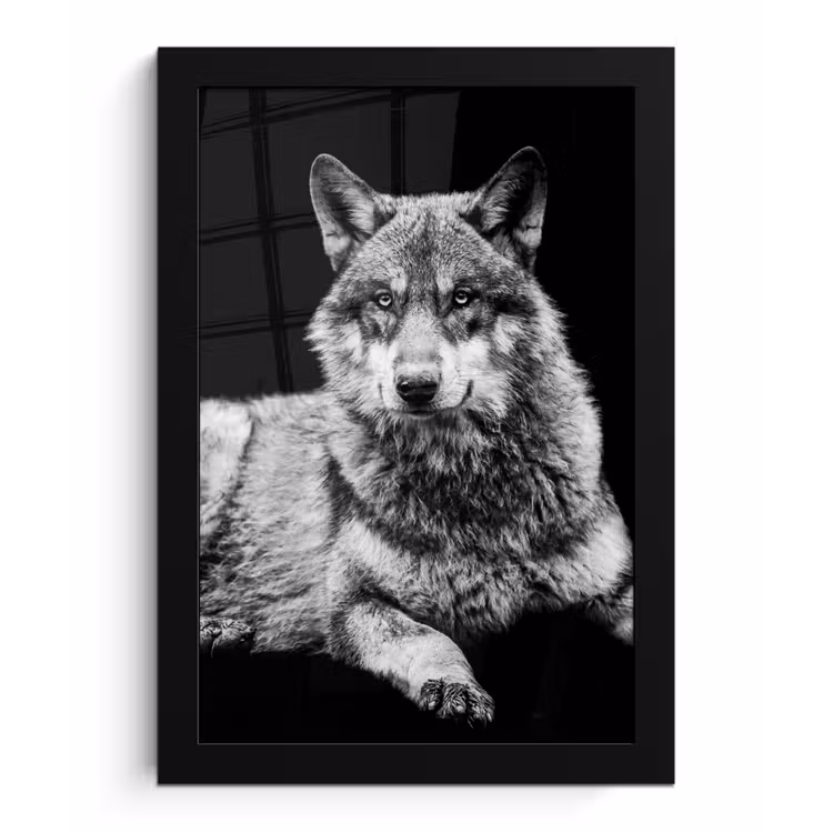 Wilde dieren - Wolf - Zwart - Wit fotolijst zwart zonder passe partout klein -3d