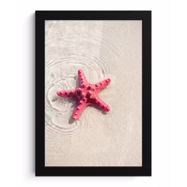 Zeeleven - Zeester - Strand - Roze - Water fotolijst zwart zonder passe partout klein -3d