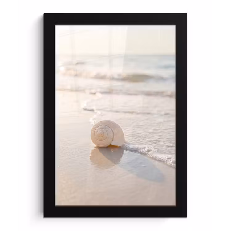 Zeeschelp - Strand - Zee - Natuur - Beige fotolijst zwart zonder passe partout klein -3d