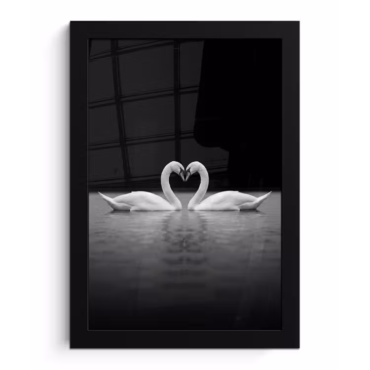 Zwanen - Hart - Zwart - Wit fotolijst zwart zonder passe partout klein -3d