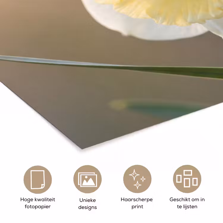 Narcis - Bloem - Minimalistisch poster papier klein -closeup_NL