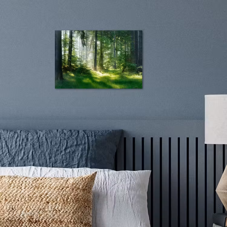Natuur - Bomen - Bos - Groen - Zon - Gras - Planten poster papier klein -sfeer2