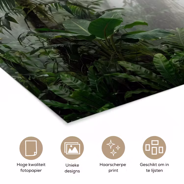 Natuur - Jungle - Mist - Tropisch - Groen poster papier klein -closeup_NL
