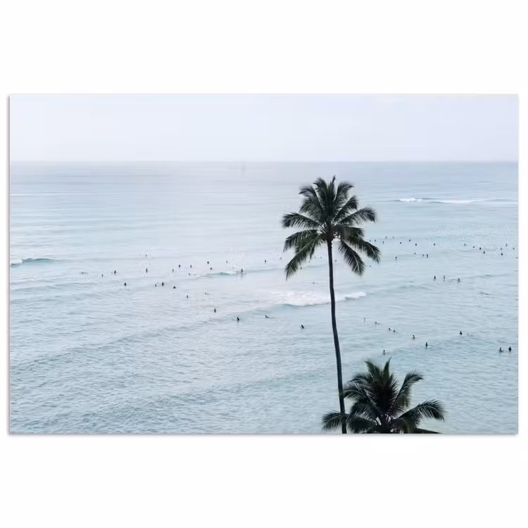 Oceaan - Palmbomen - Surfers poster papier klein -3d