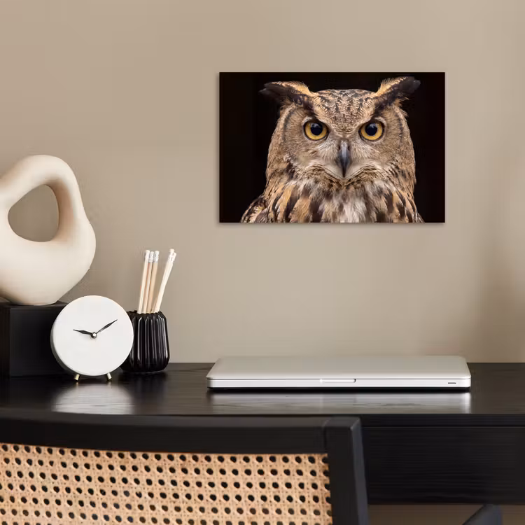 Oehoe - Uil - Portret - Bruin poster papier klein -sfeer1