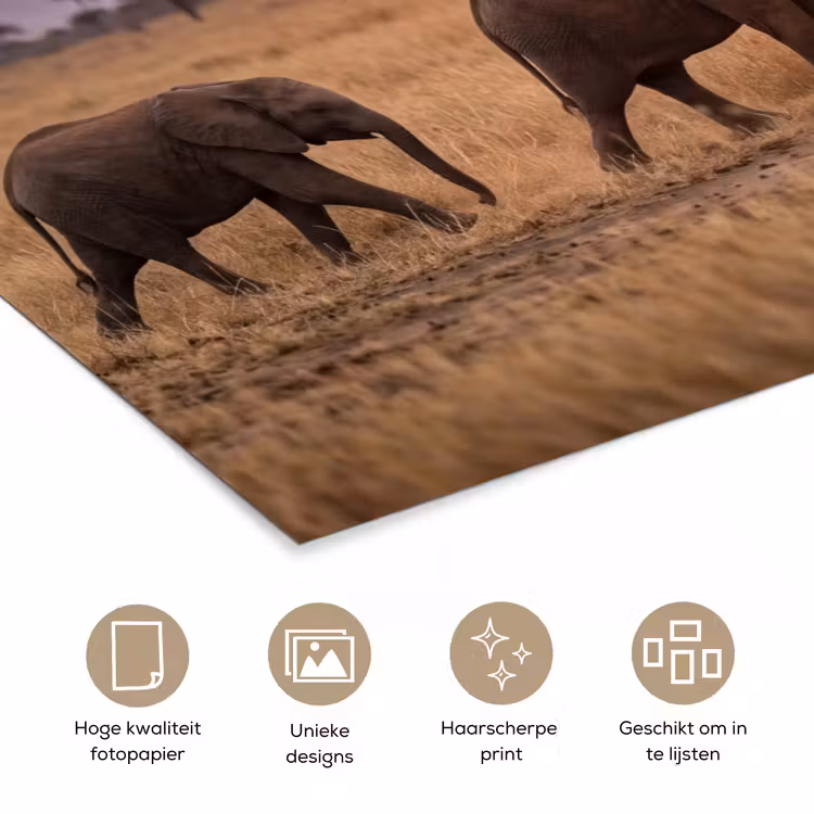 Olifanten - Savanne - Zonsondergang - Afrika - Warm poster papier klein -closeup_NL