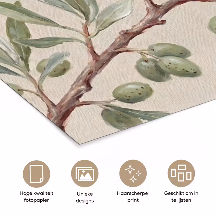 Olijftak - Bladeren - Natuur - Groen - Beige poster papier klein -closeup_NL