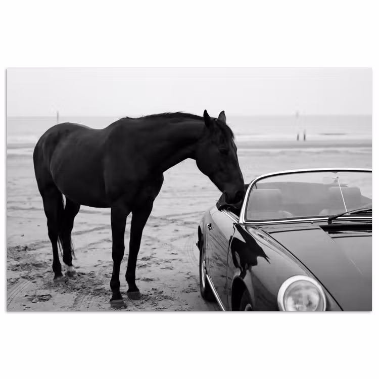 Paard - Auto - Zwart - Wit poster papier klein -3d