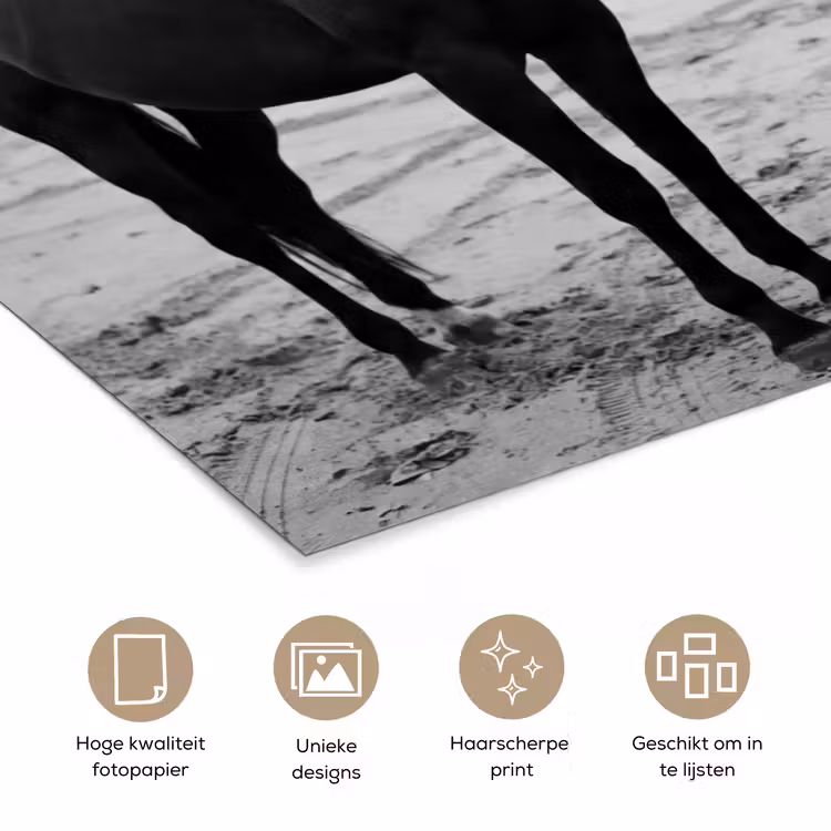 Paard - Auto - Zwart - Wit poster papier klein -closeup_NL