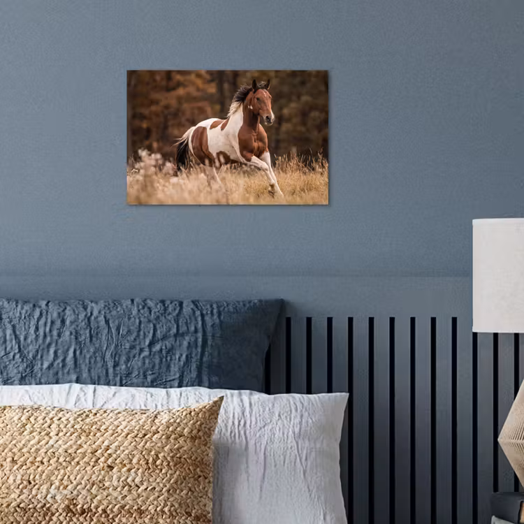 Paard - Bruin - Gras poster papier klein -sfeer2
