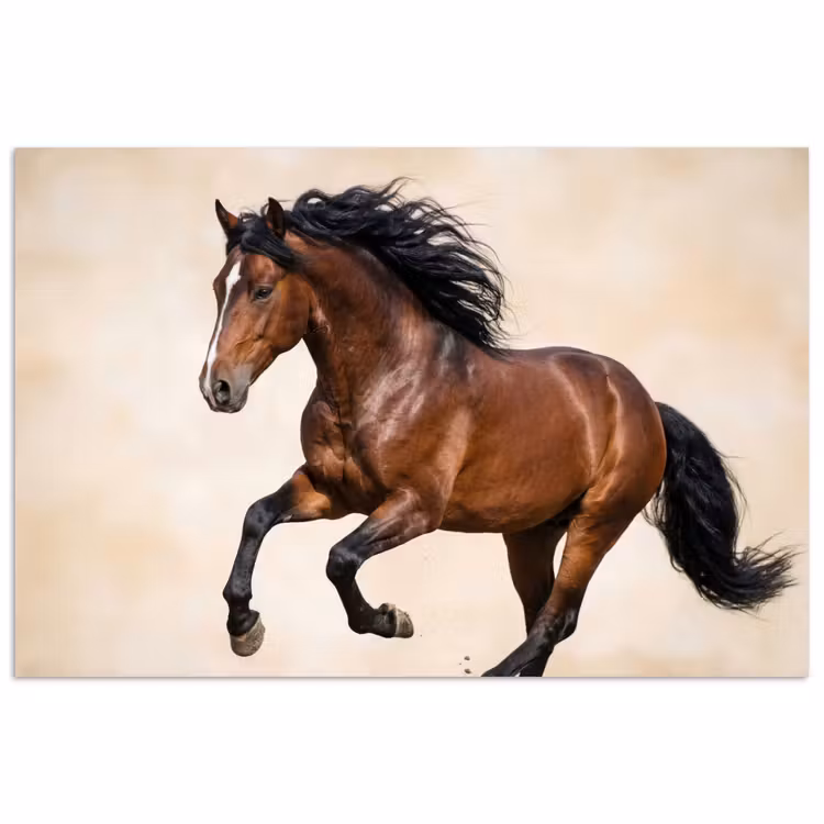 Paard - Galop - Energie poster papier klein -3d