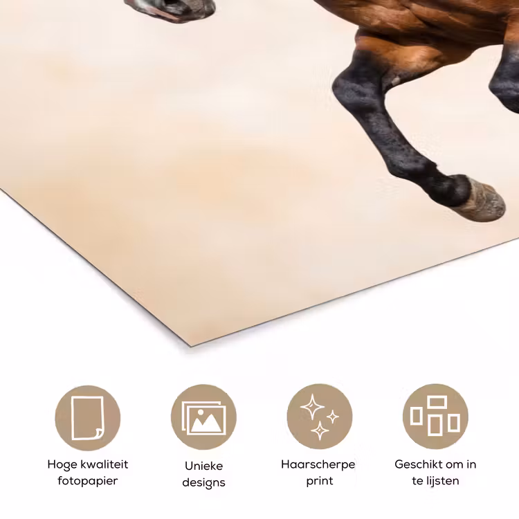 Paard - Galop - Energie poster papier klein -closeup_NL