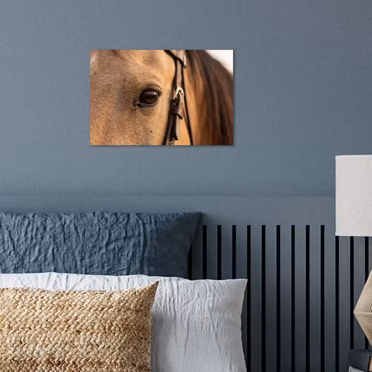Paard - Oog - Bruin poster papier klein -sfeer2