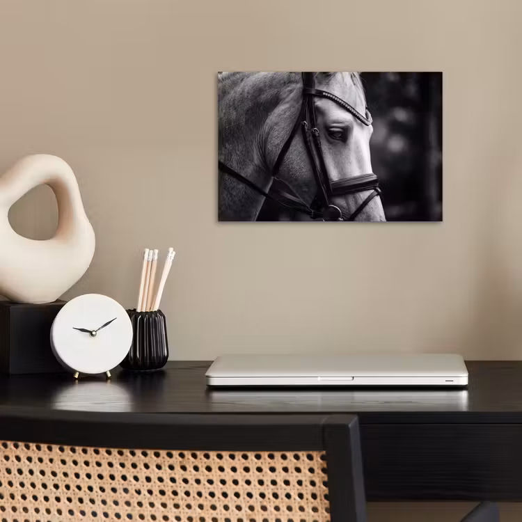 Paard - Schimmel - Portret poster papier klein -sfeer1
