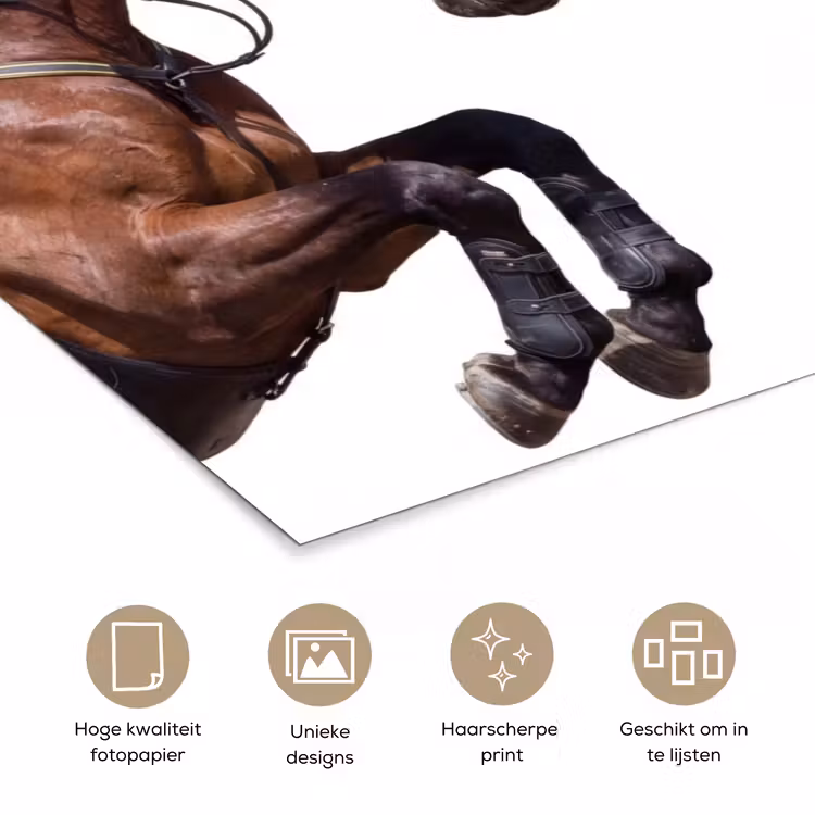 Paard - Springen - Modern poster papier klein -closeup_NL