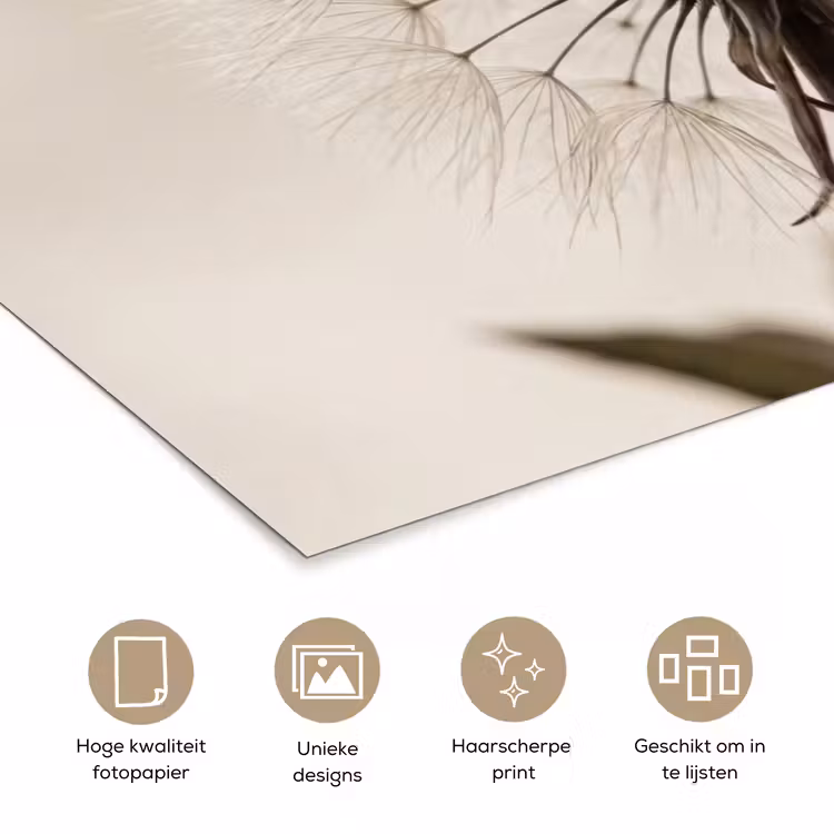 Paardenbloem - Minimalistisch - Wit poster papier klein -closeup_NL