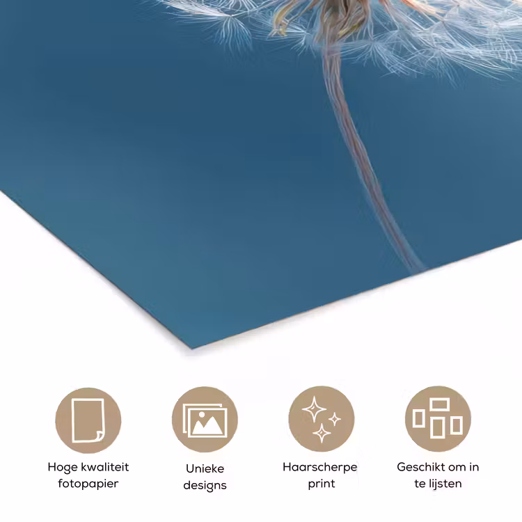 Paardenbloem - Wind - Blauw poster papier klein -closeup_NL