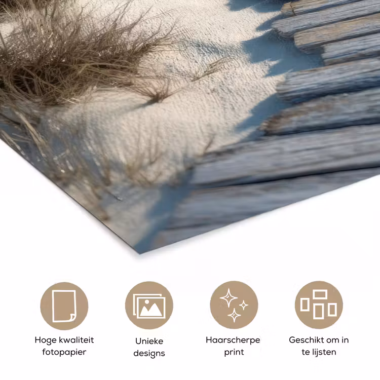 Pad - Planken - Duinen - Gras poster papier klein -closeup_NL