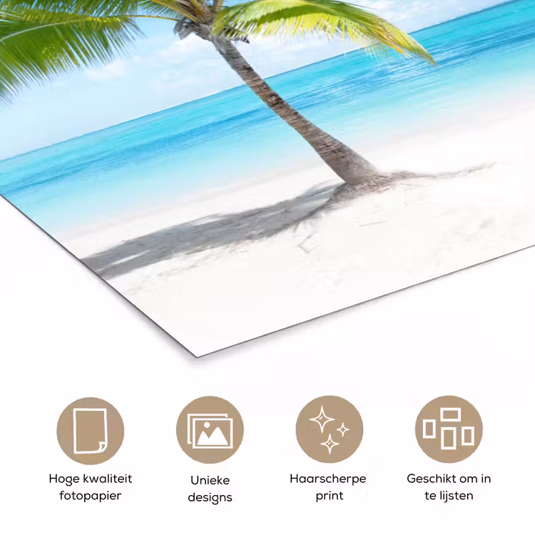 Palmboom - Strand - Zee - Zomer poster papier klein -closeup_NL
