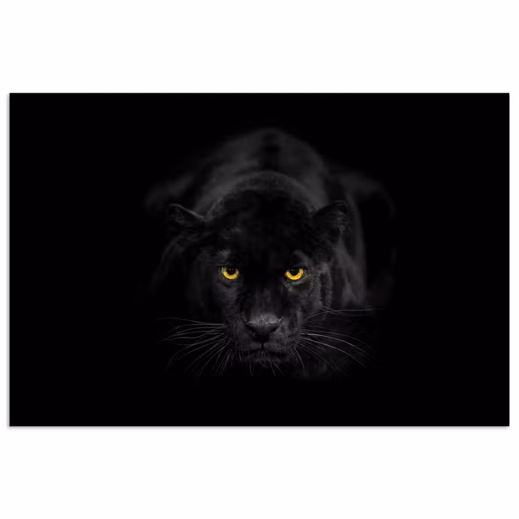Panter - Dieren - Zwart - Ogen poster papier klein -3d