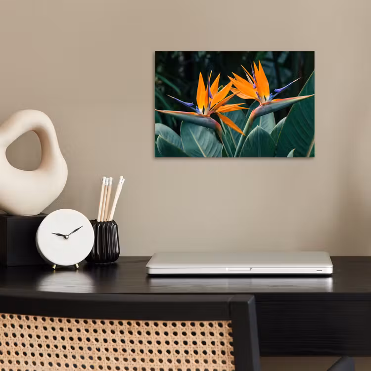Paradijsvogel - Bloem - Exotisch poster papier klein -sfeer1